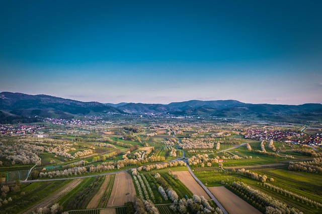 Karriere in Mittelbaden & Ortenau Arbeitsmarkt in der Region